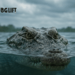 Il “coccodrillo” di BG Lift? Una sorpresa di innovazione svelata solo al GIS 2025