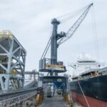 LPS 550: la gru elettrica Liebherr al servizio delle operazioni bulk di Phu My Port