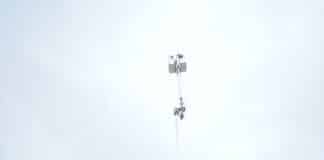 Tra gli alberi a Londra con una Multitel MZ 250