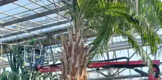 Hinowa, precisione e performance a 12 metri in serra